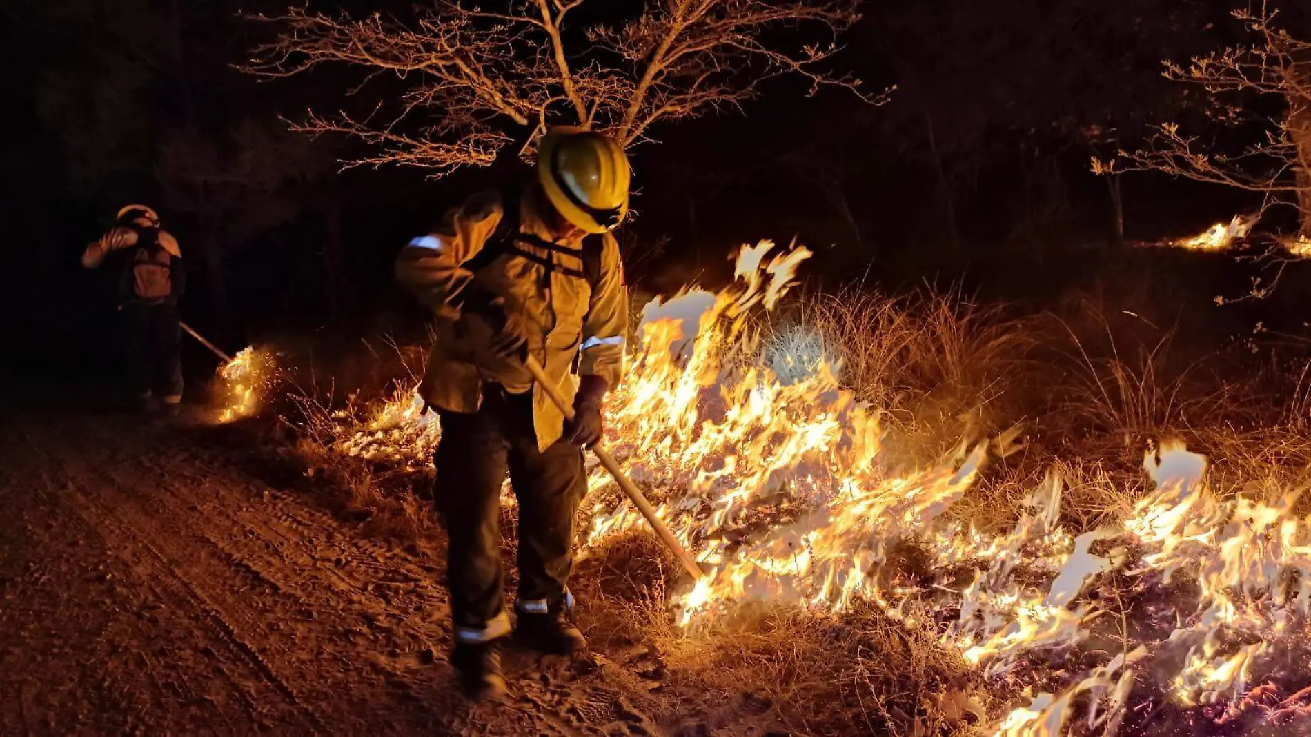 Trabajos incendio ejido Santa Cruz, dentro del Área Natural Protegida del Bosque de la Primavera